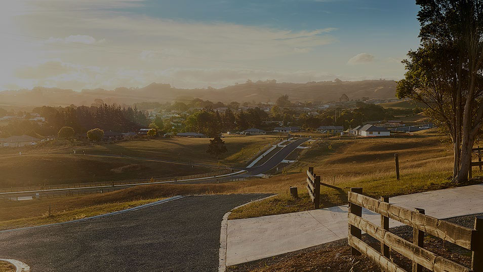 kowhai downs street tint